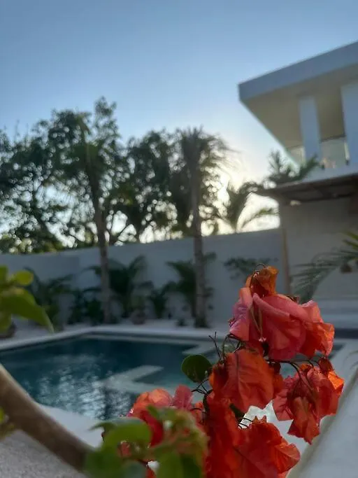 Villa Maya Brand New 1 Bed Pool Uluwatu  Indonesia